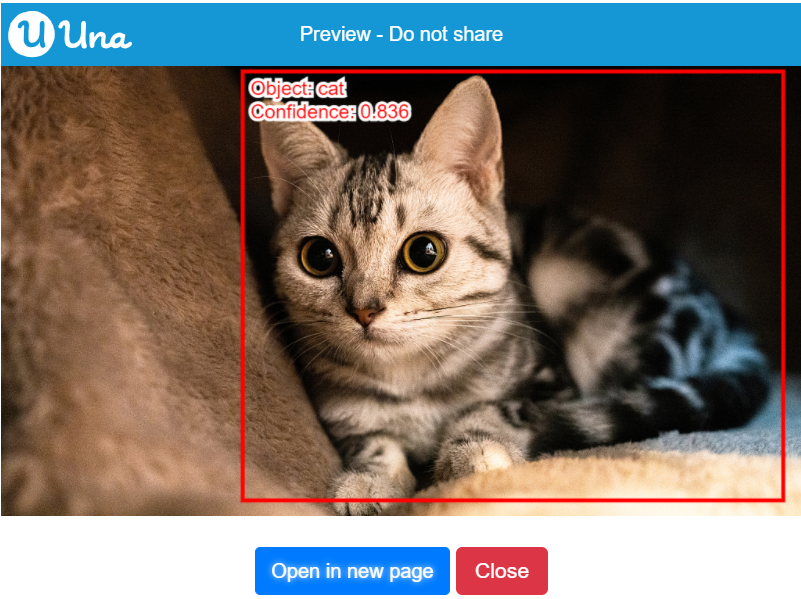 Apply object detection result on image - Output