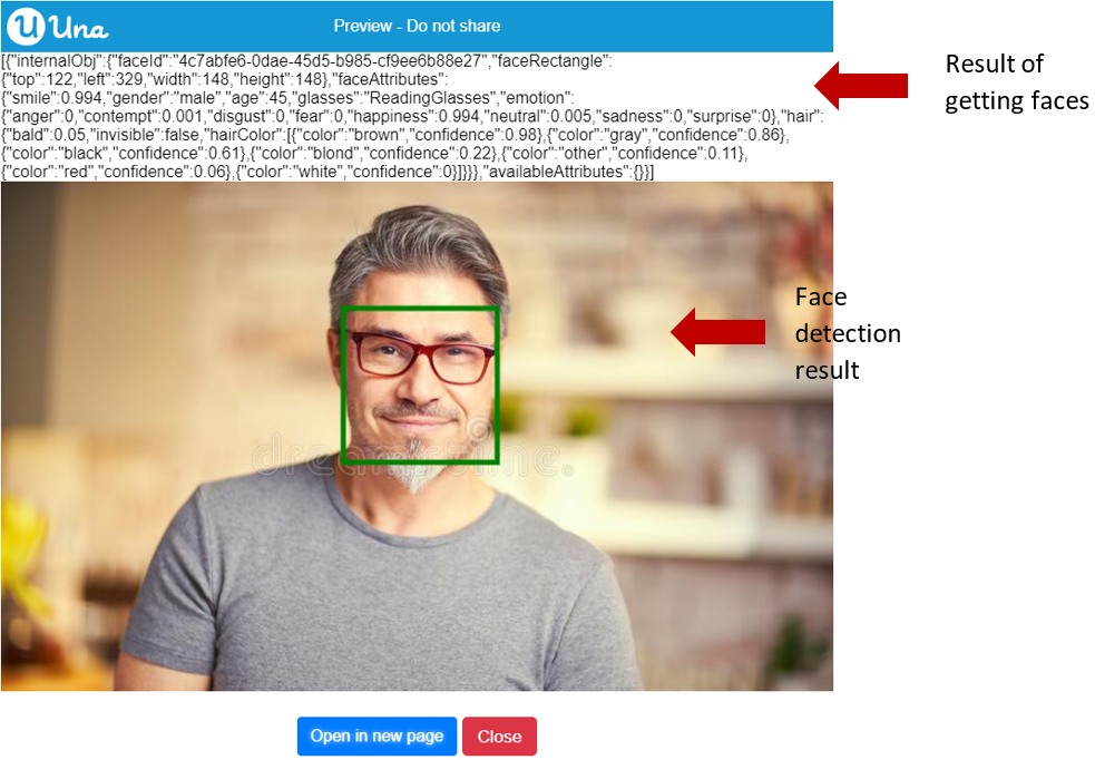 Face Detection Result get faces - Output